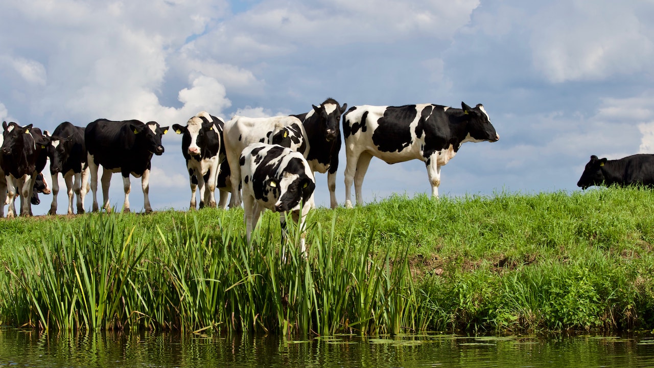 Agri